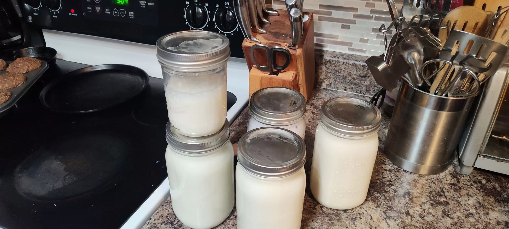 Homemade Instant Pot Yogurt